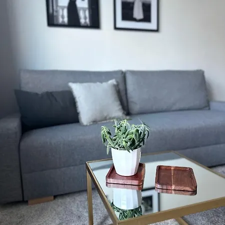 S Klimatizaciou A Balkonom Pri Letisku Bts Appartement *