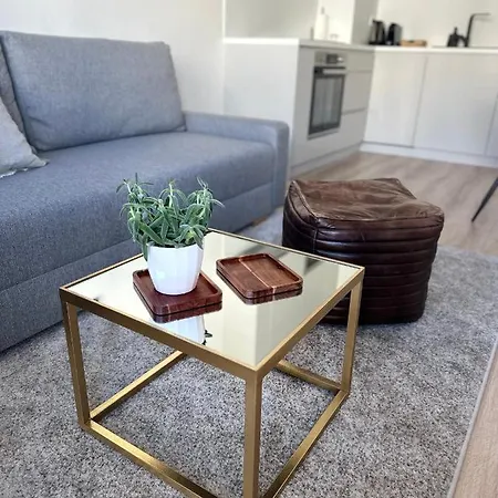 S Klimatizaciou A Balkonom Pri Letisku Bts Bratislava