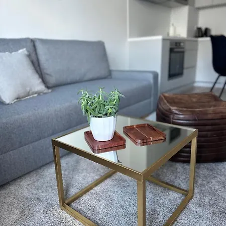 Apartment S Klimatizaciou A Balkonom Pri Letisku Bts Bratislava