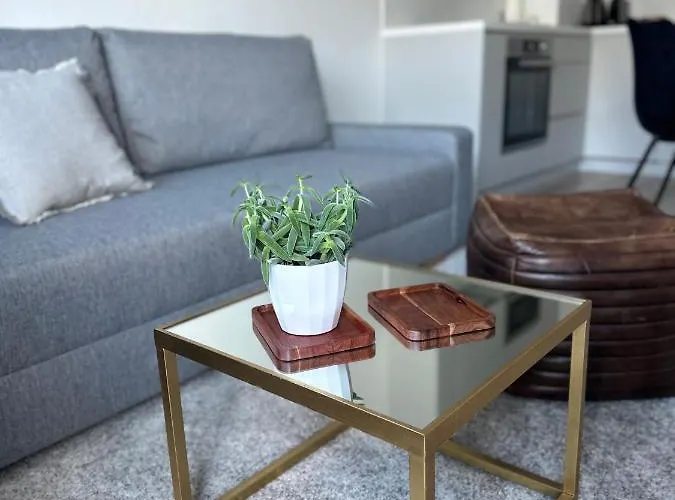 Apartament S Klimatizaciou A Balkonom Pri Letisku Bts Bratysława